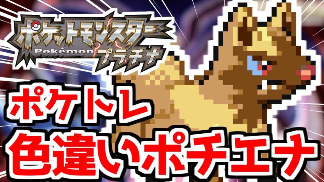 色違いポチエナをポケトレで狙うぞ 【ポケモンDPPt】