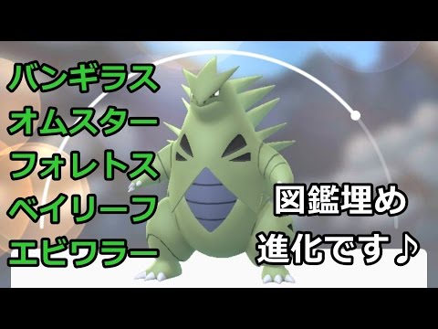 【ポケモンGO】図鑑埋め&進化 バンギラス/オムスター/フォレトス/ドンファン/ベイリーフ/エビワラー #8