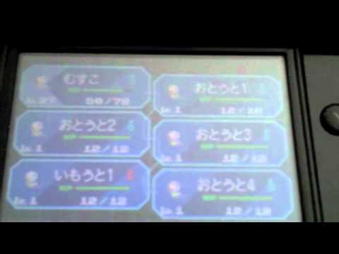 ミジュマル家族