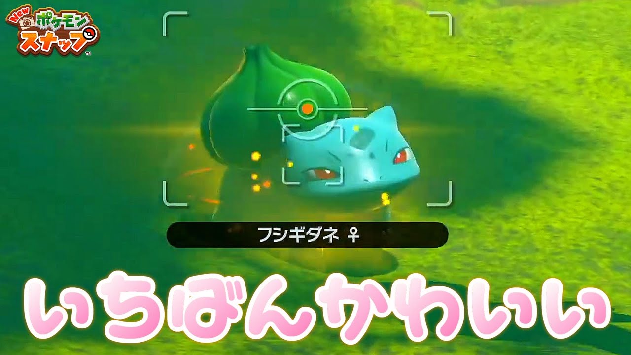#3 フシギダネが可愛すぎる【Newポケモンスナップ 3日目】