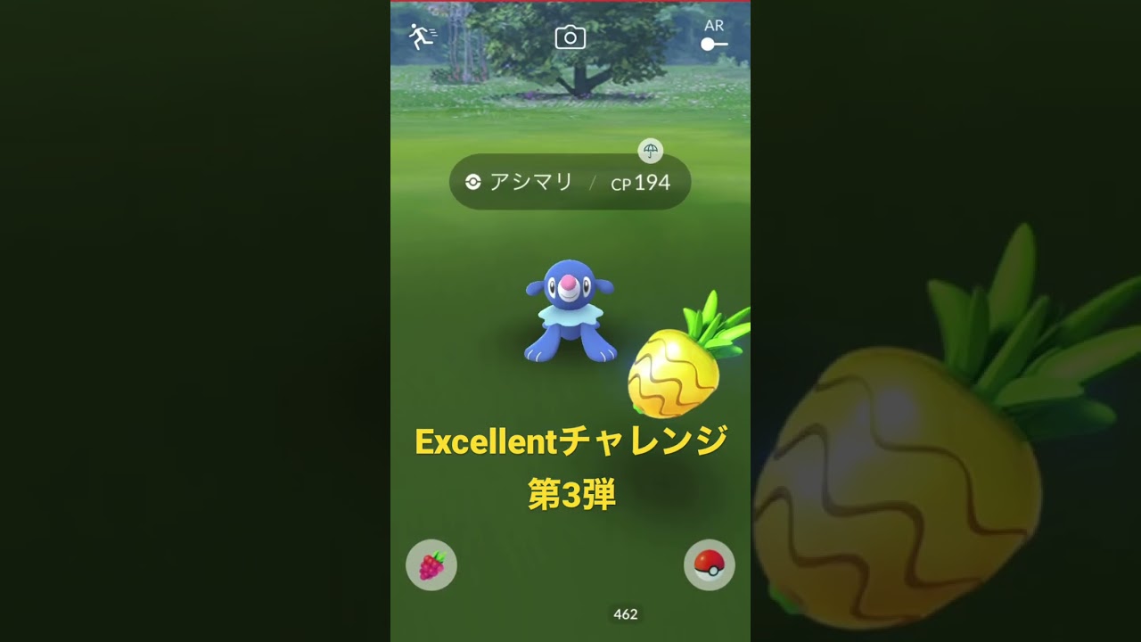 【ポケモンGO】アシマリExcellentチャレンジ 悲劇