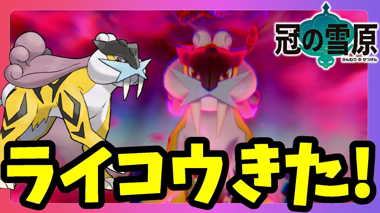 【ポケモンソードシールド】伝説のポケモンライコウゲットなるか！？ダイマックスアドベンチャー冠の雪原【エキスパンションパス】