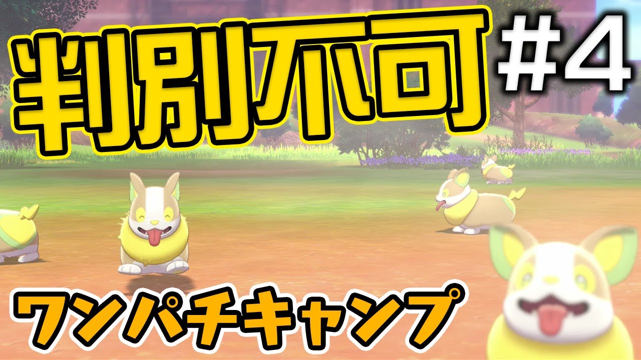 【ポケモン剣盾】ワンパチ6匹のキャンプがカオスすぎる ワンパチ縛り #4【ソード・シールド】