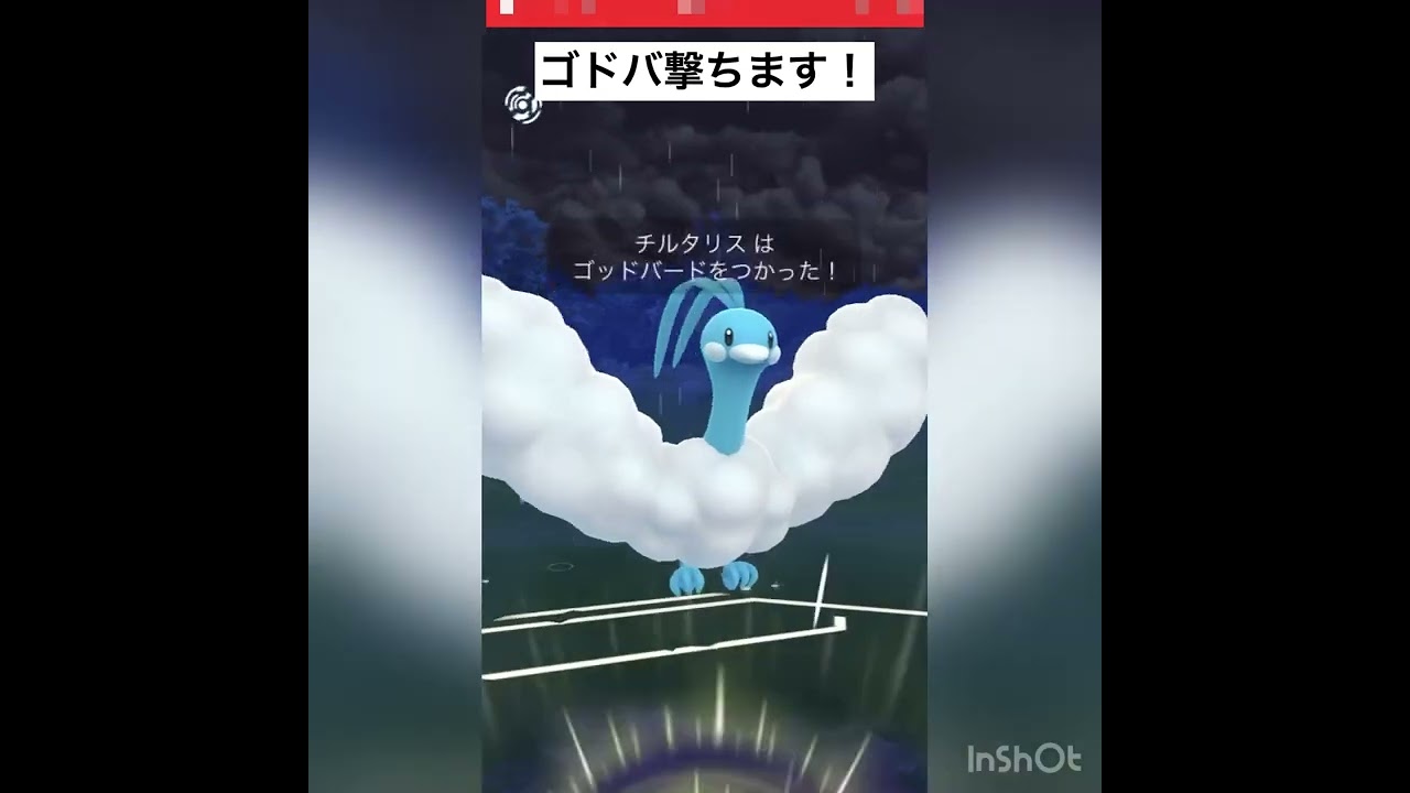 初手チルタリスvol.4
