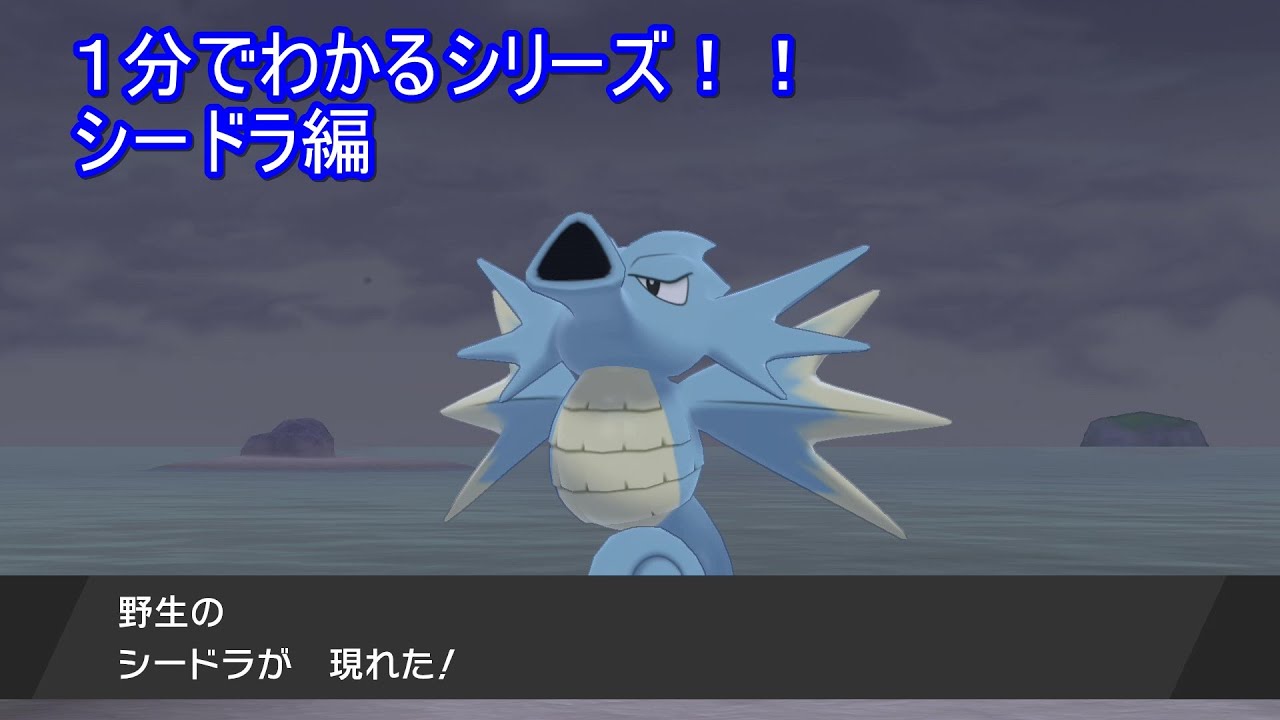 シードラって盾限定なの！？
