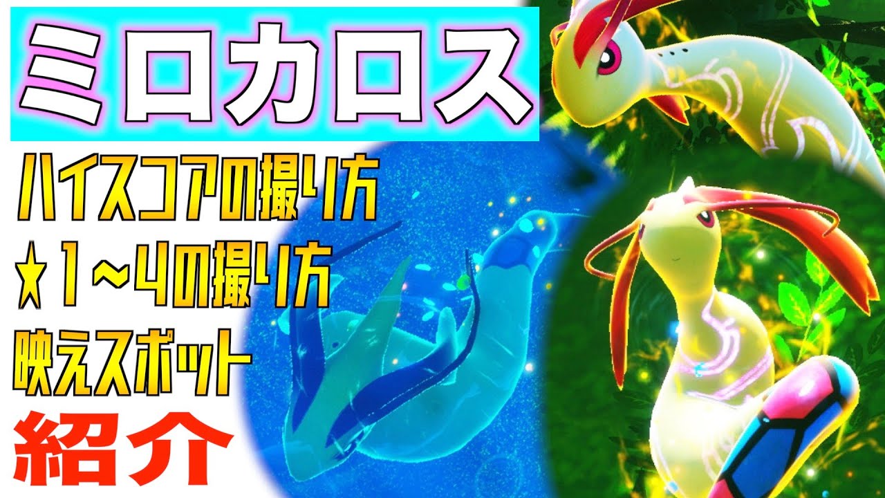 ミロカロスの完全攻略！ハイスコアの場所や星４の撮り方、映えスポットを全紹介！【イルミナポケモン】【Newポケモンスナップ】