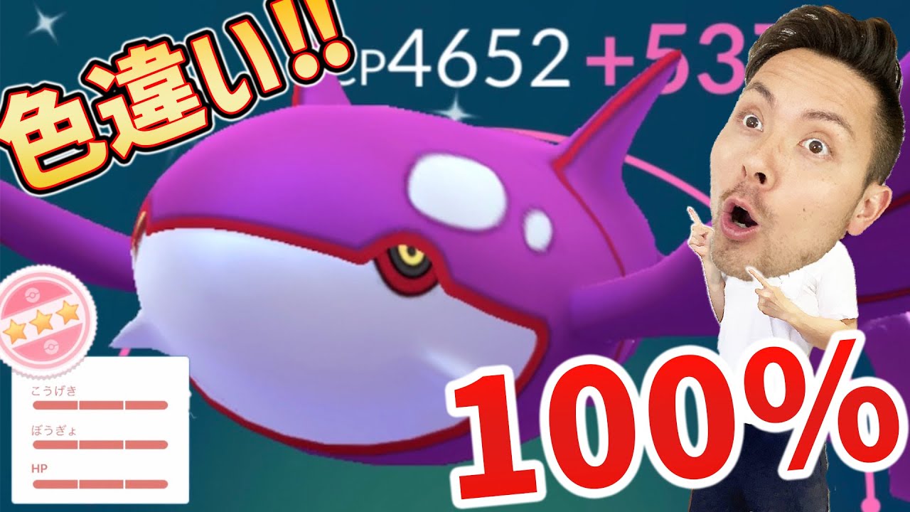 バグ嵐の中…色違い100%カイオーガをアメXL使ってマックス強化させちゃうぞ！！最強の海王爆誕！！！【ポケモンGO】