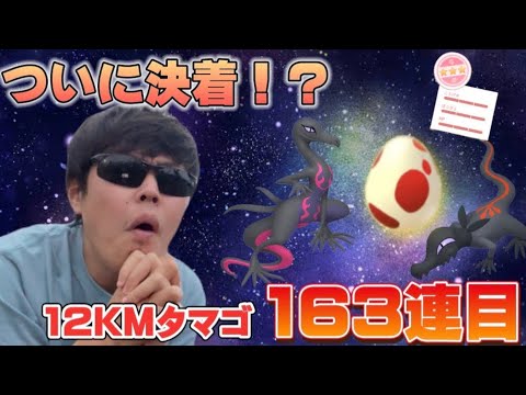ヤトウモリメスを狙った12KMタマゴ163連の結末...ついにエンニュートへ！？【ポケモンGO】