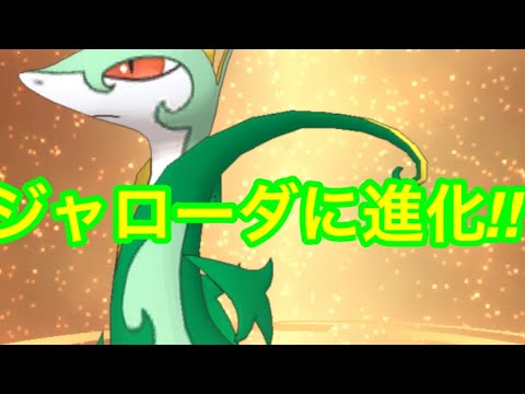 [ポケモンマスターズ]ジャノビーをジャローダに進化させました!!