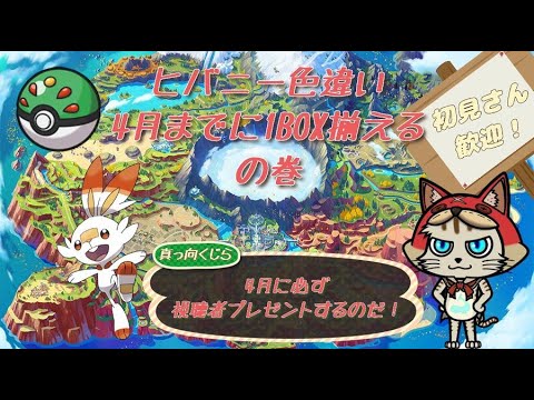 【ポケモンSV】雑談：アチチのゲータでヒヒヒのヒバニー