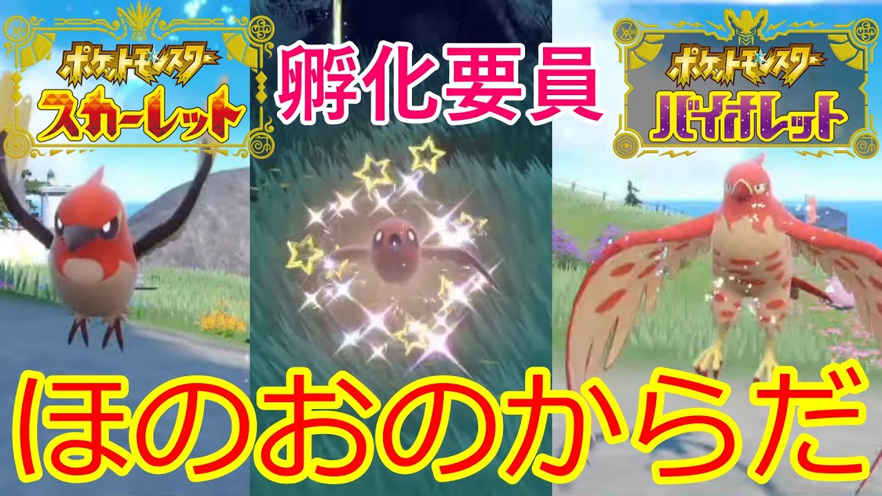 [ポケモンSV]孵化要員のファイアローを色違いにしました
