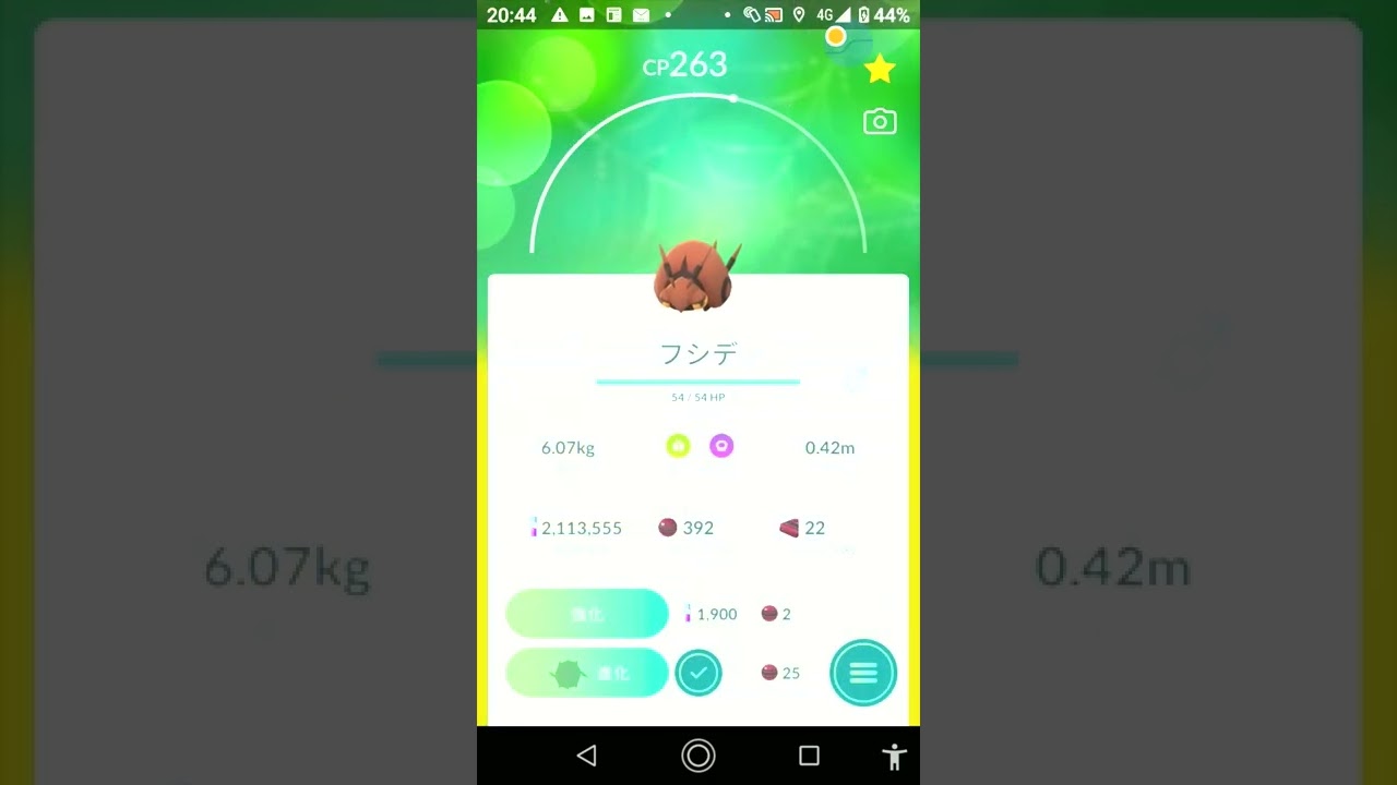 ＃shorts◇色違いフシデ初ゲット＃188