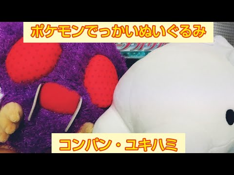 ユキハミちゃんとコンパンちゃんを求めて～でっかいぬいぐるみ～