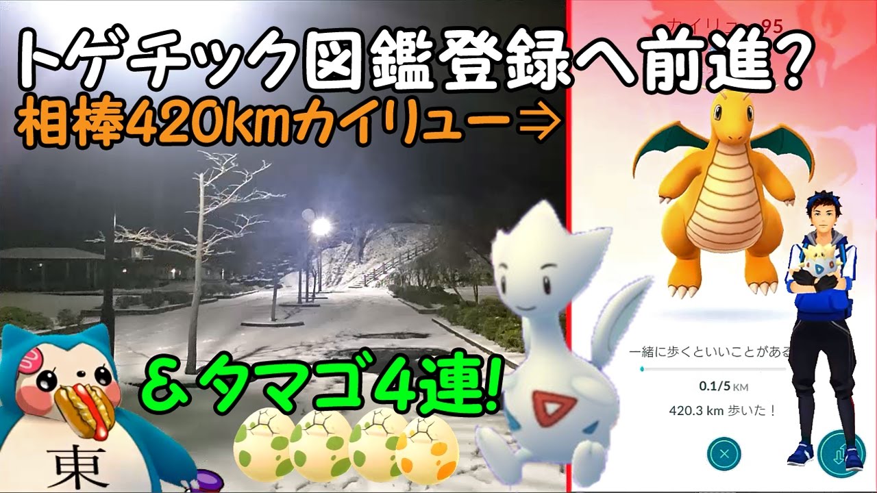 トゲチック図鑑登録へ前進?相棒420kmカイリューが トゲピーに＆卵4連孵化