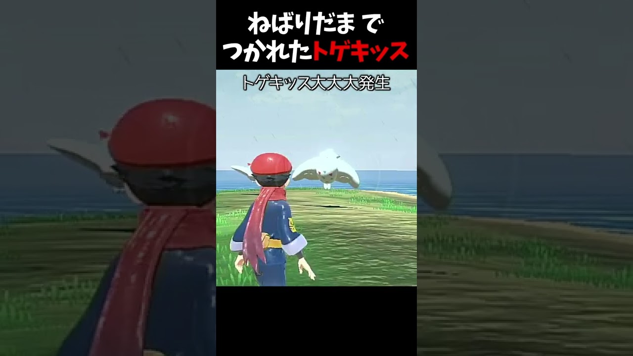 つかれちゃったトゲキッス【ポケモンアルセウス】#shorts