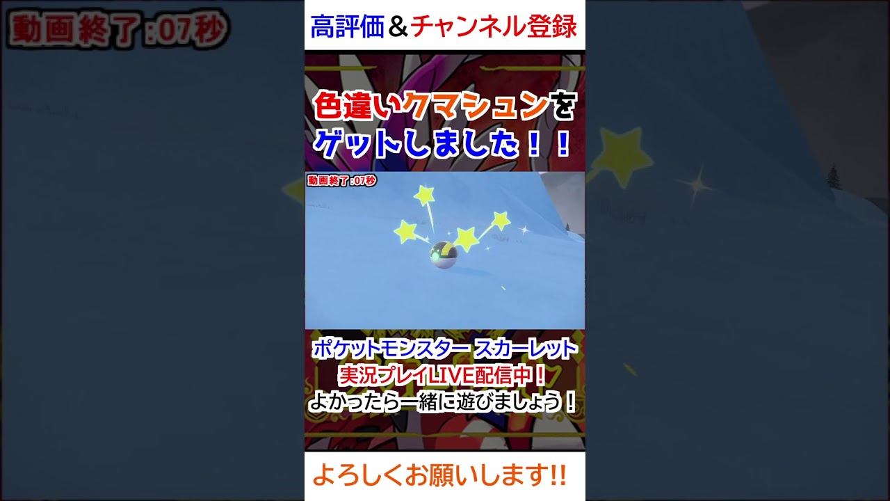 色違いクマシュンをゲットしました！！【ポケモンSV】