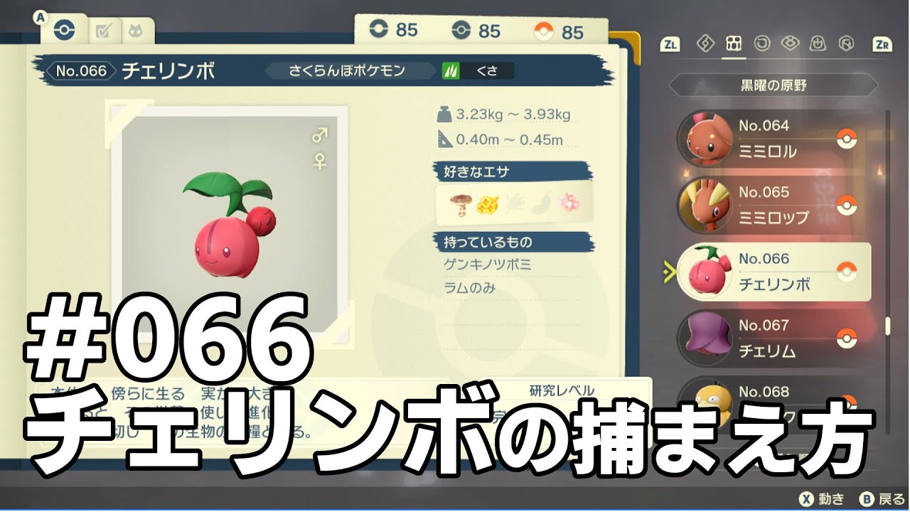 チェリンボを探している方に見てほしい動画