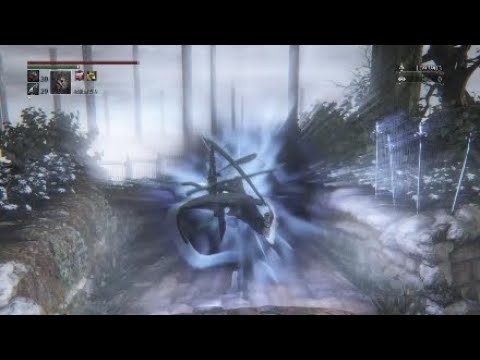神秘99ゴースの寄生虫 [Bloodborne対人戦]