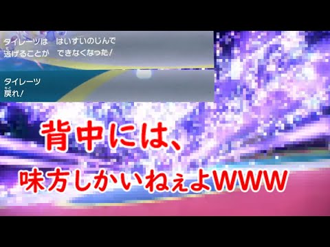 【神回】背中は任せた、逃げるが勝ち型タイレーツ！＃タイレーツ＃SV＃ポケモンSV＃神回＃背水の陣