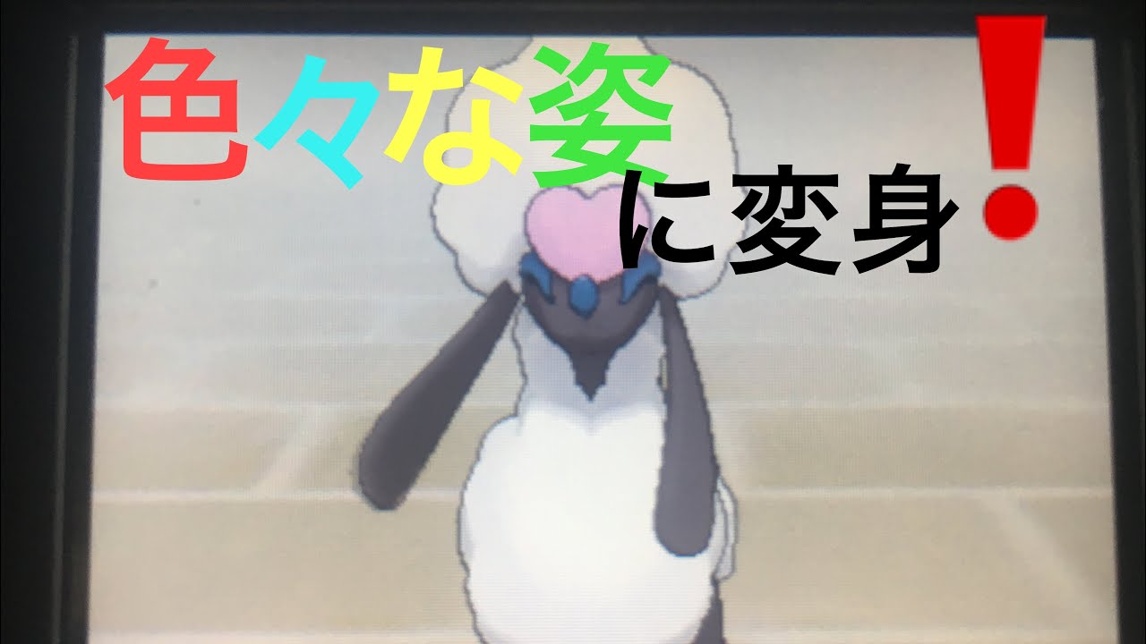 【ポケモンUSUM】色々な姿に変身⁉️トリミアン、カット方法！