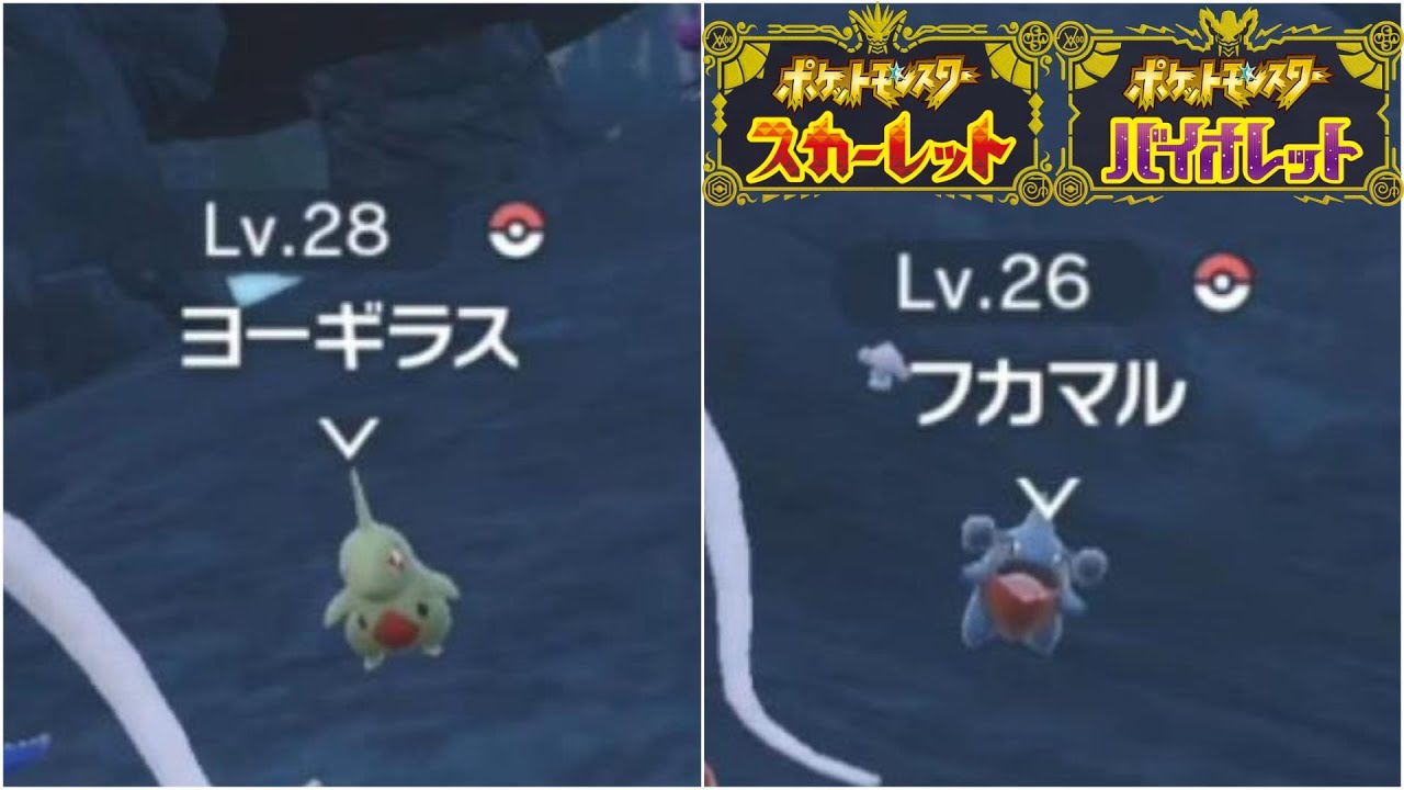 ヨーギラス（タツベイ）＆フカマルがいる場所 　【 ポケモンスカーレットバイオレット 】