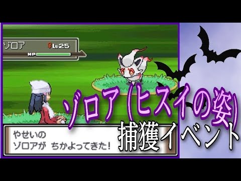 【ポケモンDPt】ゾロア(ヒスイの姿)捕獲イベント【Pokémon LEGENDS アルセウス】