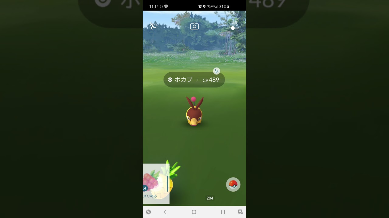 [ポケモンGO] ポカブ色違い獲得！for 7/3コミュニティデイ