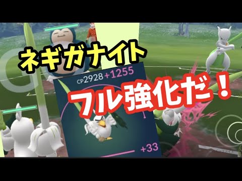 ガラルポニータに癒されながら、エクセレントスローでネギガナイトをゲットするぜ！？【ポケモンGO】