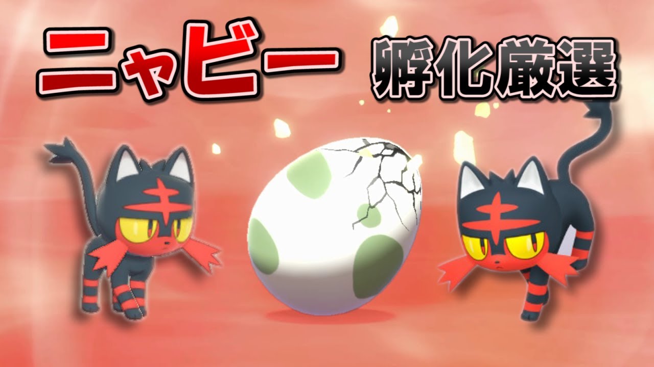 【ポケモン剣盾】ニャビー孵化厳選配信 2日目【HALヤツ】