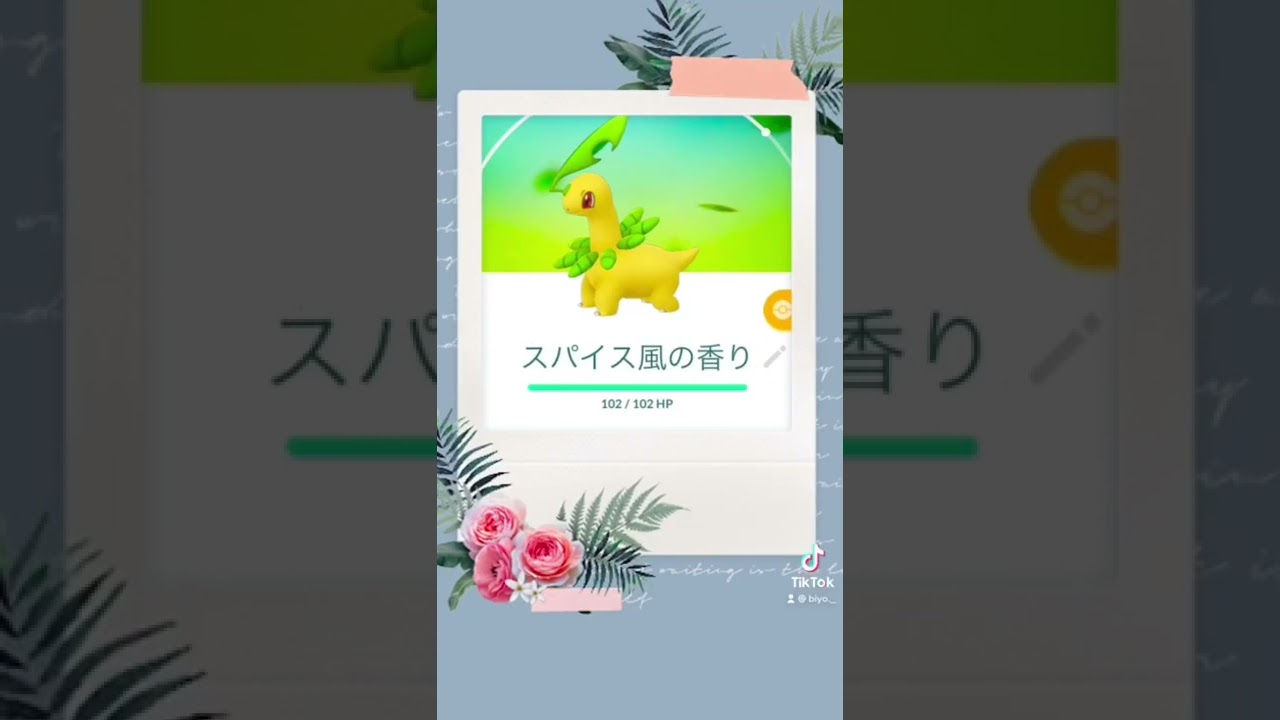 #ポケモン#ショートストーリー#ベイリーフ#スパイス#Shorts  🌸💕✨