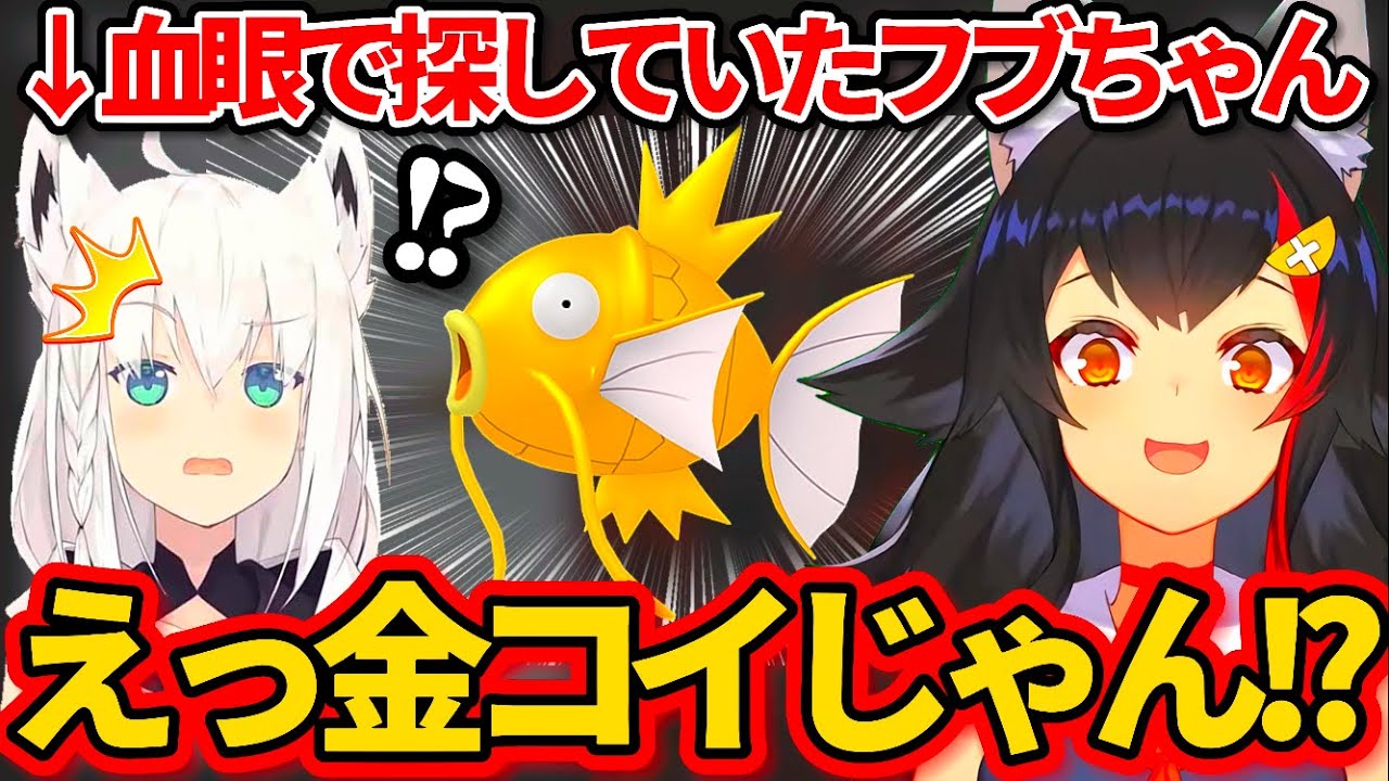 【ポケモンSV】フブちゃんが血眼で探していた"金コイキング"を譲渡会によって一瞬で手に入れてしまう大神ミオw【ホロライブ切り抜き/白上フブキ】