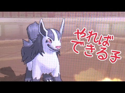 【ポケモンSM】相手を振り回す大狂乱のグラエナ