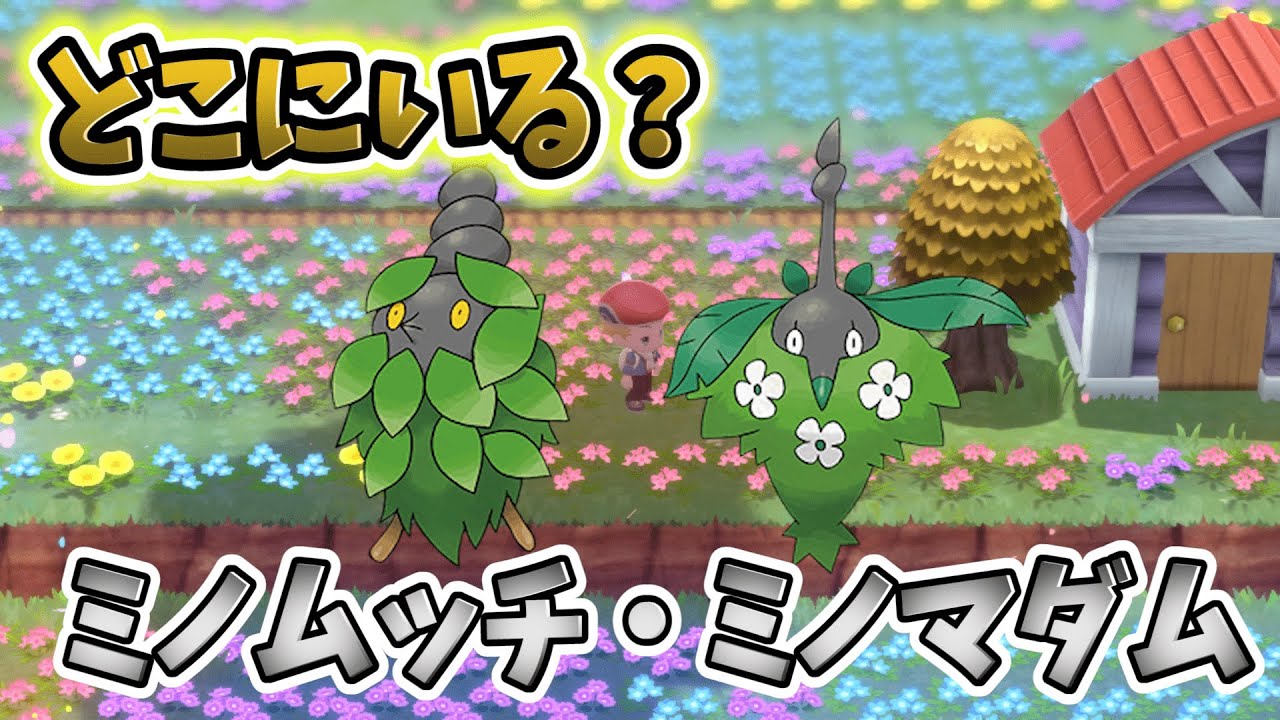 【図鑑埋めたい】ミノマダムとミノムッチはどこ？使用トレーナー紹介！【ポケモンBDSP/ポケモン ブリリアントダイヤモンド・シャイニングパール/ダイパリメイク】