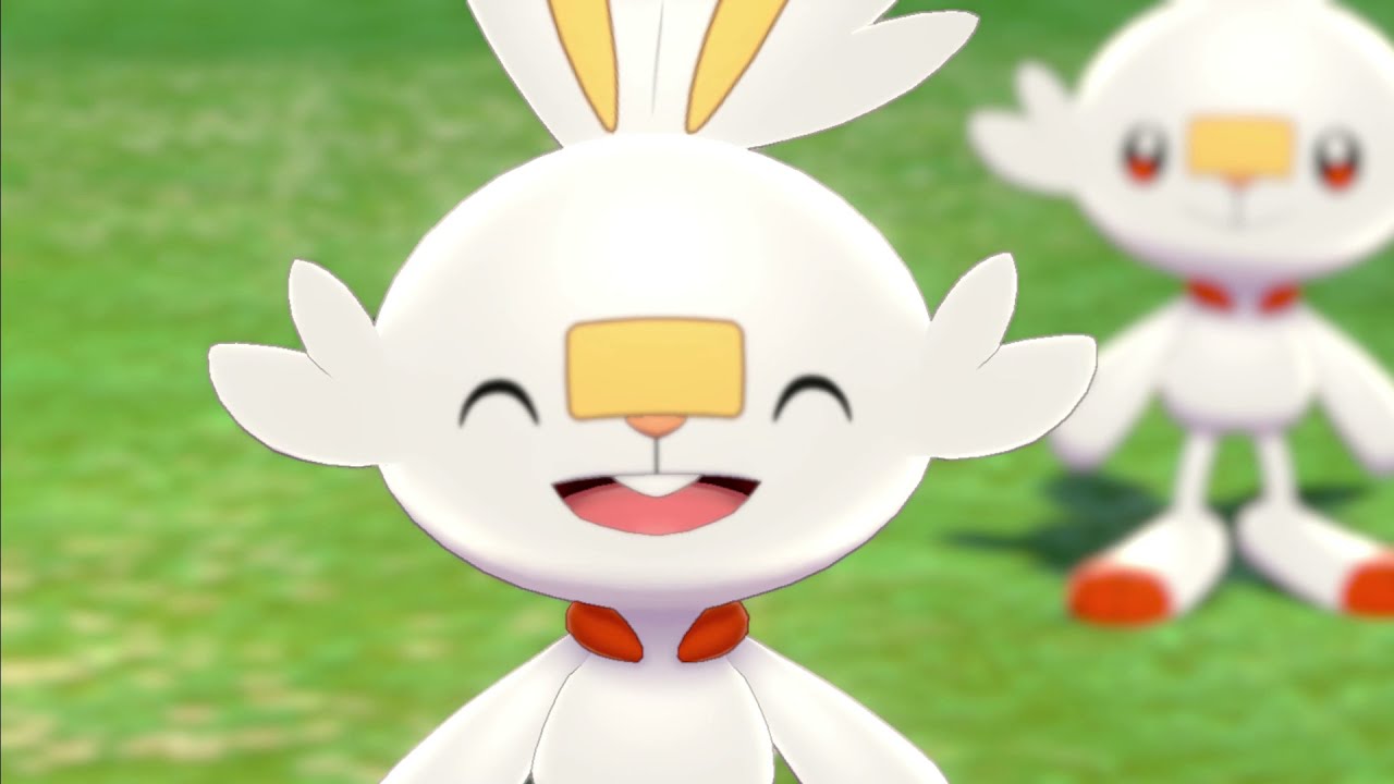 守りたいこの笑顔。ヒバニーたちとキャンプしました。｜ポケモン剣盾