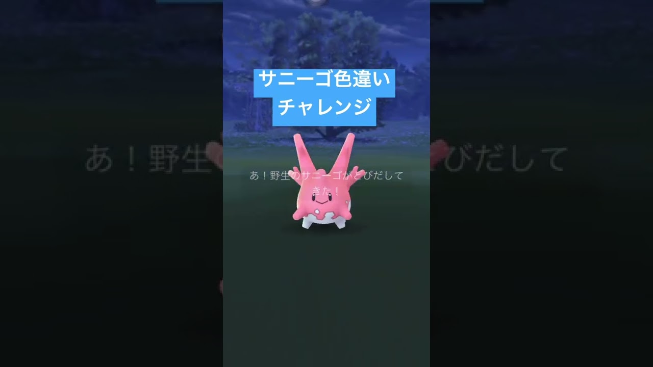 【ポケモンGO】サニーゴ色違いチャレンジ
