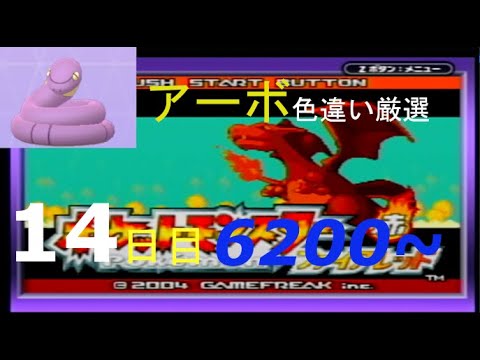 【金のガラガラヘビ】新米配信者のアーボ色違い厳選(14日目) 6200~【ポケモンFRLG】