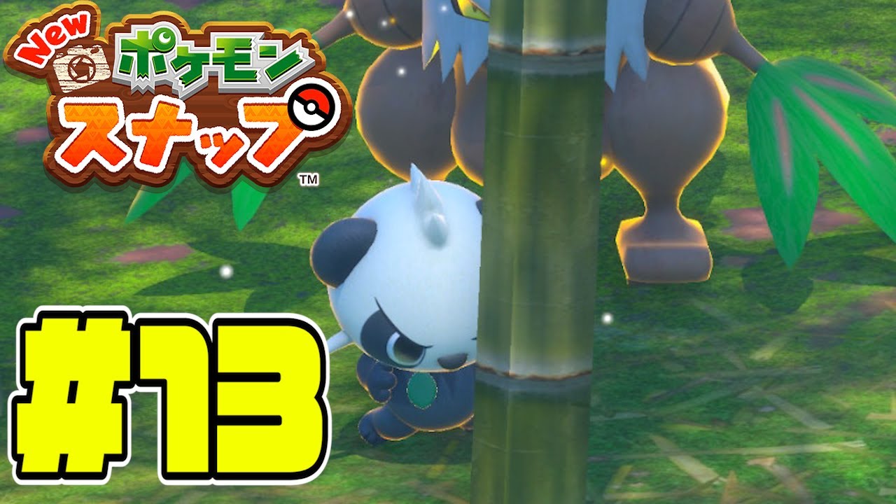 ヤンチャム後ろ！【Newポケモンスナップ】#13