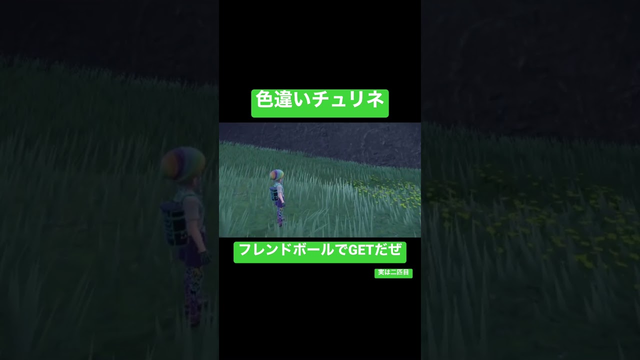 色違いドレディアちゃんのためにチュリネ厳選した。これが婚約？ (？) #ポケモンsv #ポケモンバイオレット