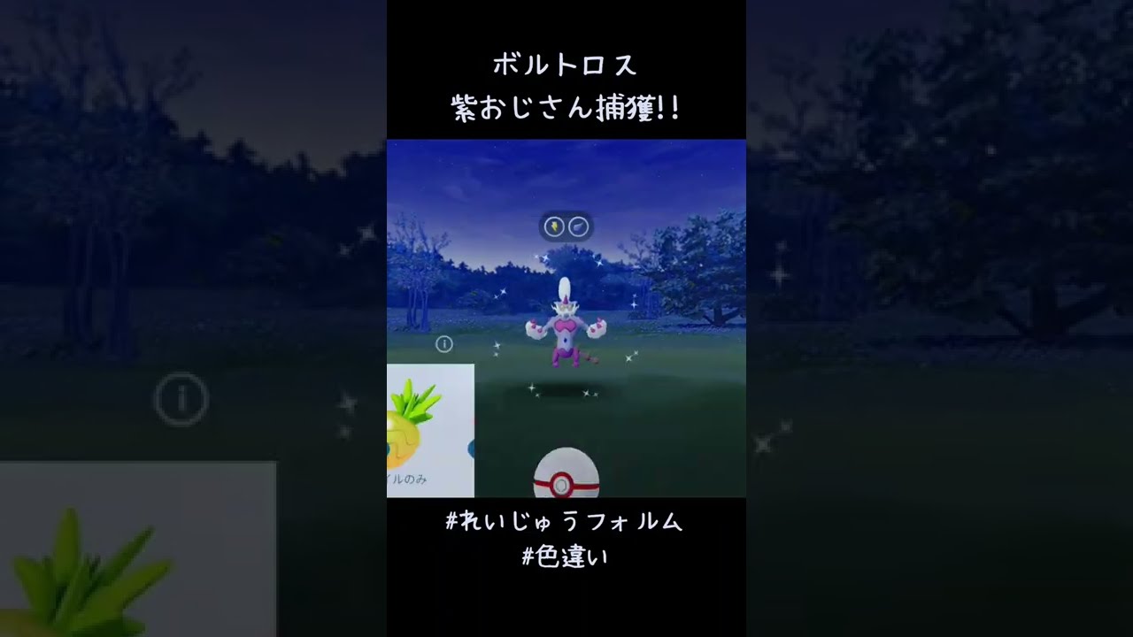 紫おじさん捕獲✨ カイリュー！ナイスアシスト👍 #ポケモンGO #ボルトロス #れいじゅうフォルム #色違い