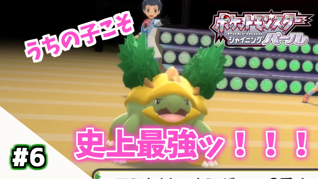 【ポケモンSP】うちのハヤシガメちゃんこそ最強ですわよォーーー！！！ #6 【ダイパリメイク】