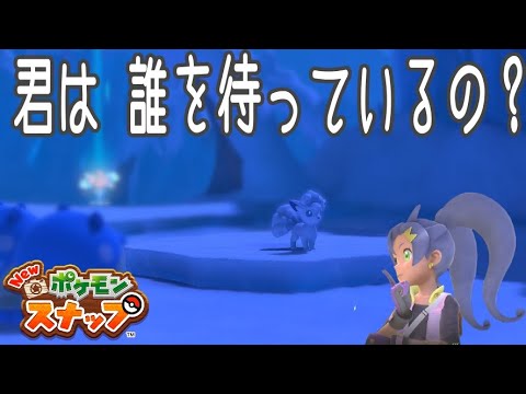 Newポケモンスナップ　ロコン観察レポート