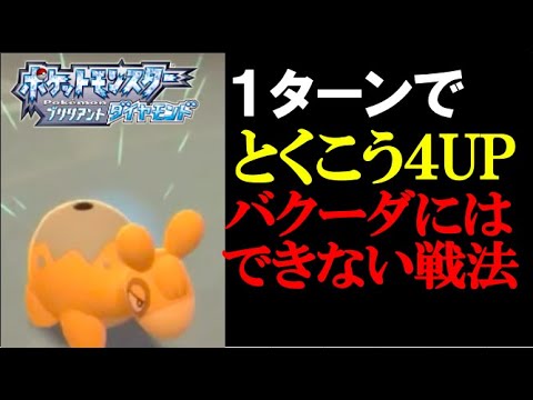 【面白ギミック#10】【バクーダにはできない】ドンメルが「あのわざ」で１ターンでとくこうを４段階上げる方法が天才【ダイパリメイク】【ポケモンBDSP】