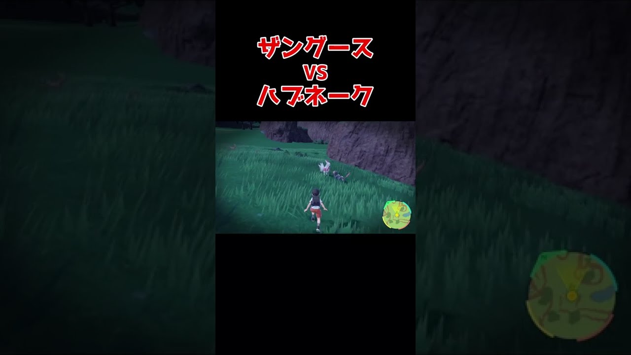 【ポケモンSV小ネタ】野生のザングースとハブネークが戦い始めた【ポケモンスタースカーレットバイオレット】#shorts