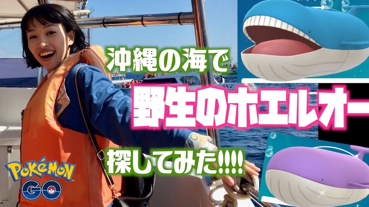 沖縄の海で野生のホエルオーを探してみた！！【ポケモンGO】