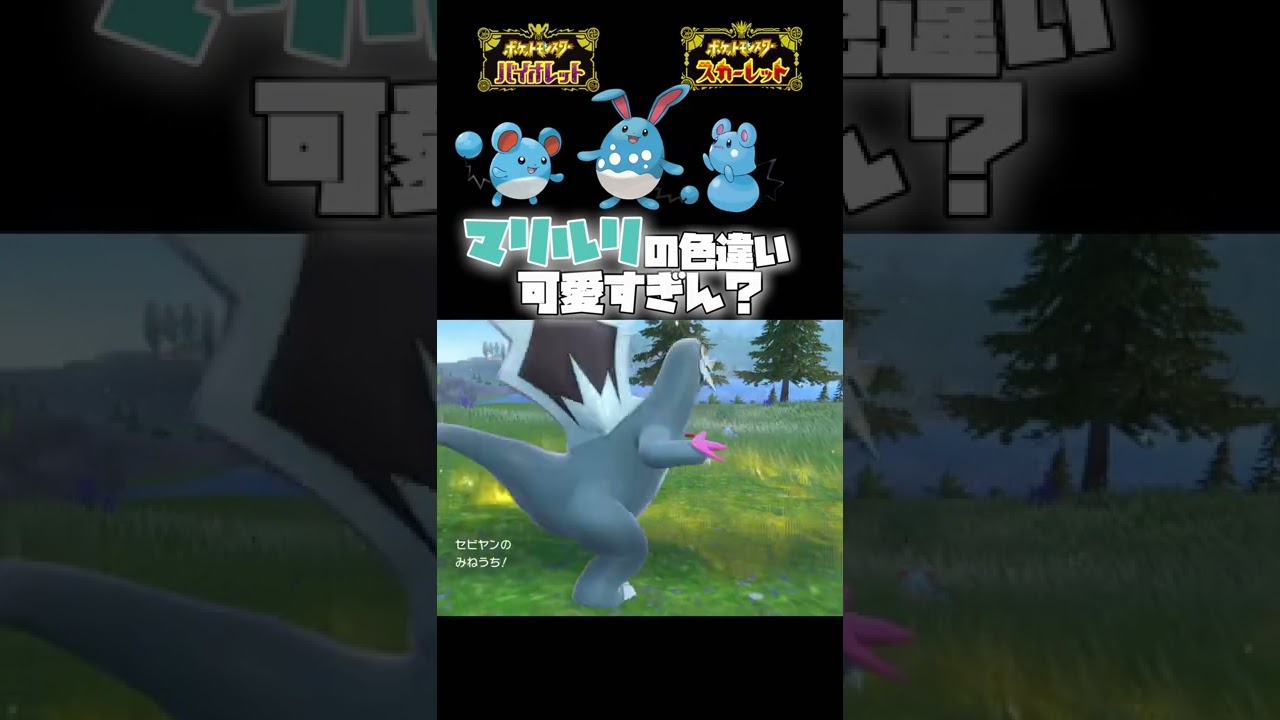 マリルの色違い進化してみたら全然違う色になったww【ポケモンsv】#shorts