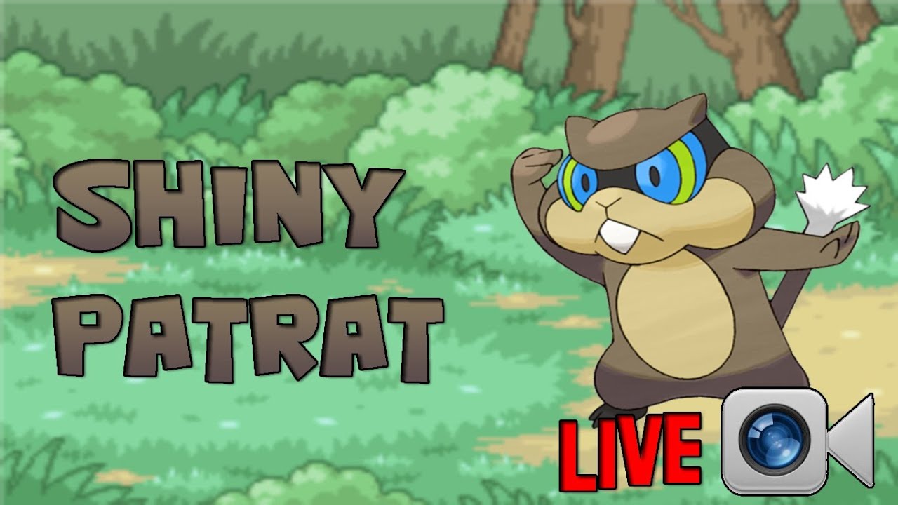 ライブエンカウンター！シャイニーパトラット / ミネズミ、第3002回 // LIVE !ラテンティフ クロマティック！