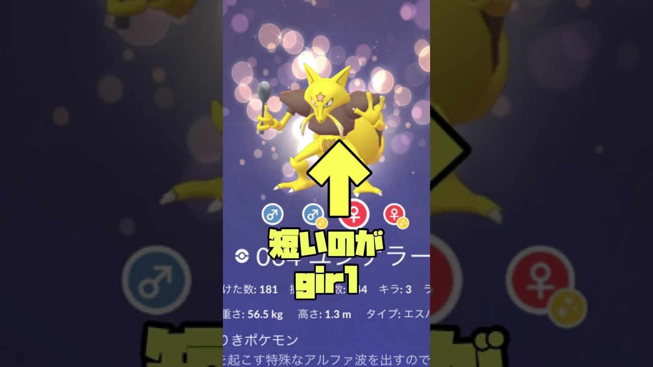 ユンゲラーのオスメス見分け方！！