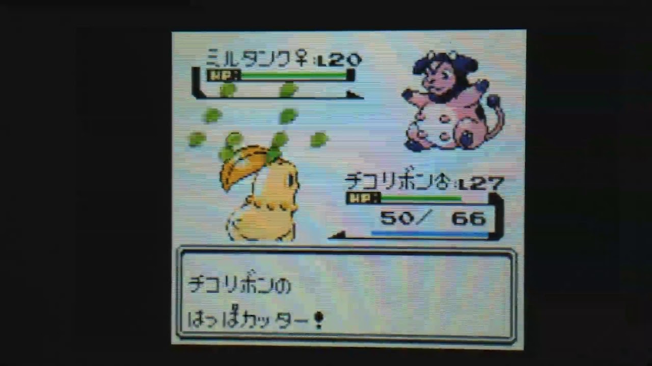色チコリータ1匹の旅～012コガネジム アカネ戦～【ポケモン金VC】