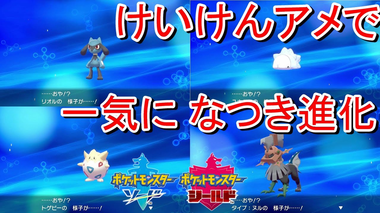 やすらぎのすずを持たせ けいけんアメで一気になつき進化【ポケモン剣盾 】ソード シールド pokemon sword and shield