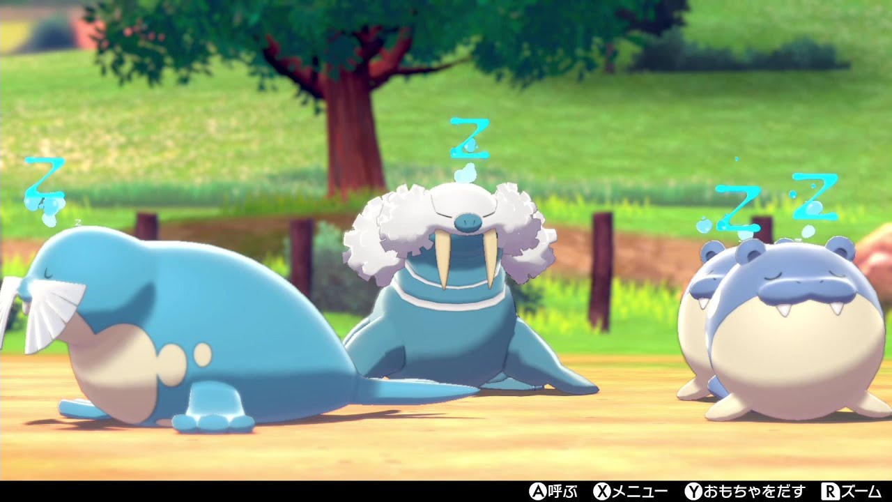 タマザラシ・トドグラー・トドゼルガとポケモンキャンプで戯れます【冠の雪原/ポケモン剣盾】